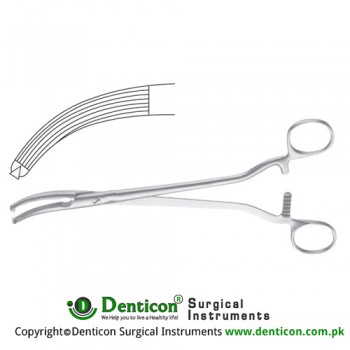 Mikulicz Peritoneum Forcep Curved - Longitudinal Serrations - 1 x 2 Teeth Stainless Steel, 24.5 cm - 9 3/4"